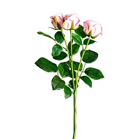 Цветок розы ROSAL в розовом цвете
