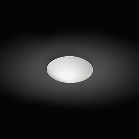 Настенный/потолочный светильник Puck 5410